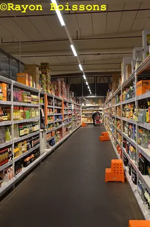 Visite de Colruyt Hal (Belgique)