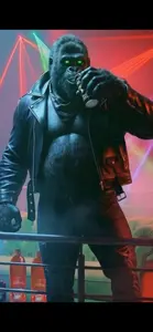 Le gorille de DIUKE mis en avant dans le nouveau spot publicitaire.