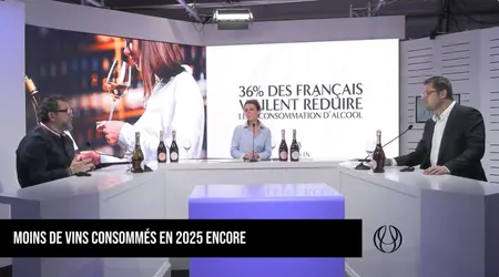 La conférence sur l’observatoire Chavin & CSA 2025, animée par le journaliste Guillaume Mollaret (à droite), s’est déroulée le 3 décembre av