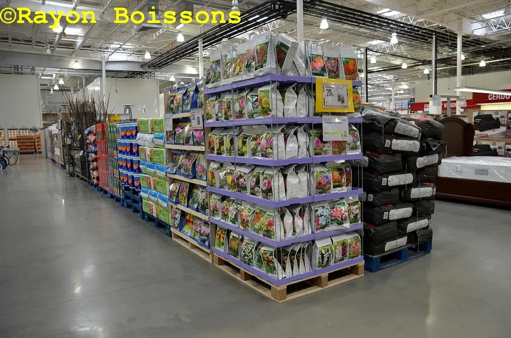 Les images du Costco de Séville (Espagne)