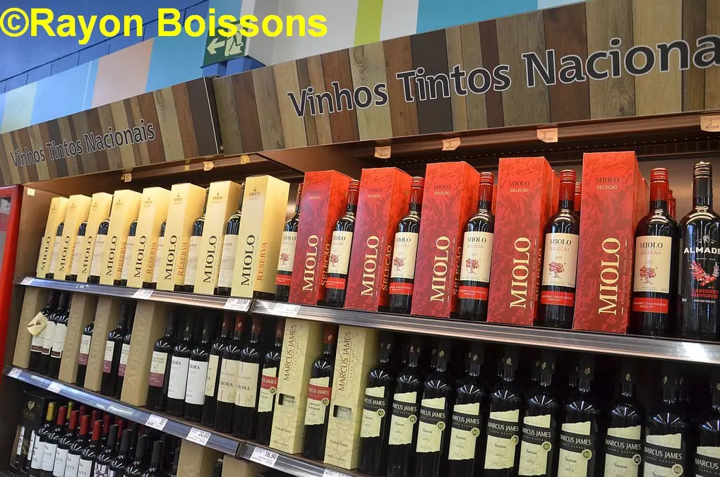 A la découverte de Casino del Brasil